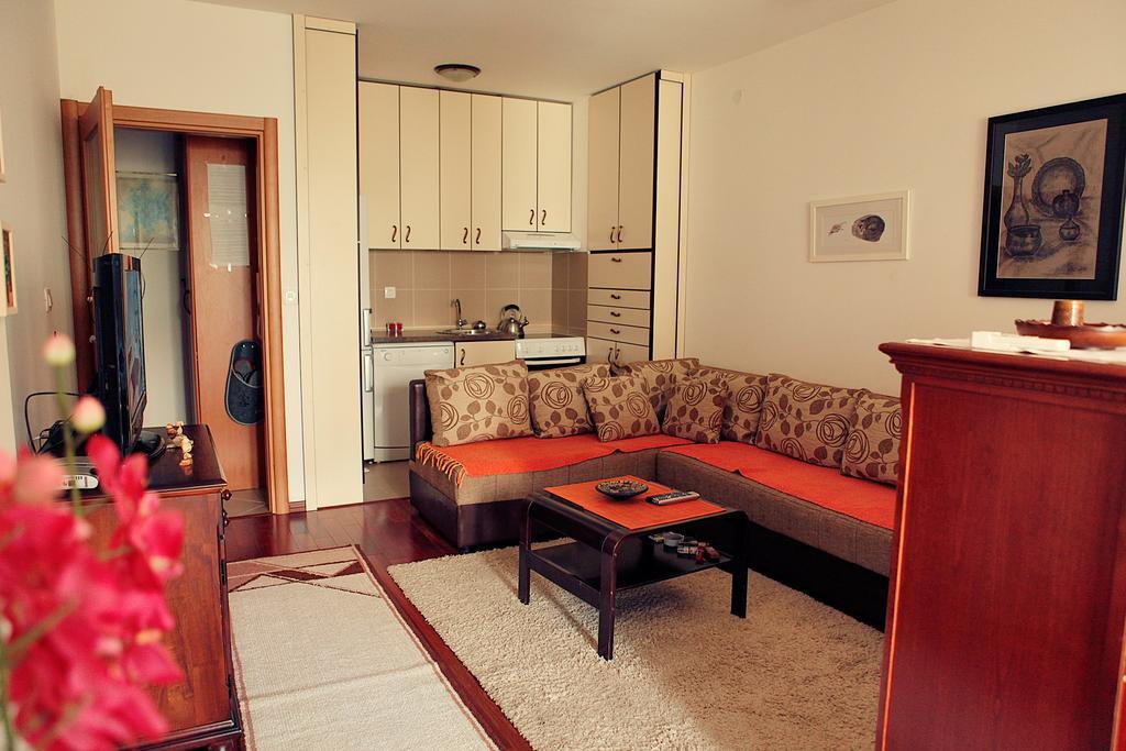 Studio Apartment Nika Andusa Petrovac Oda fotoğraf
