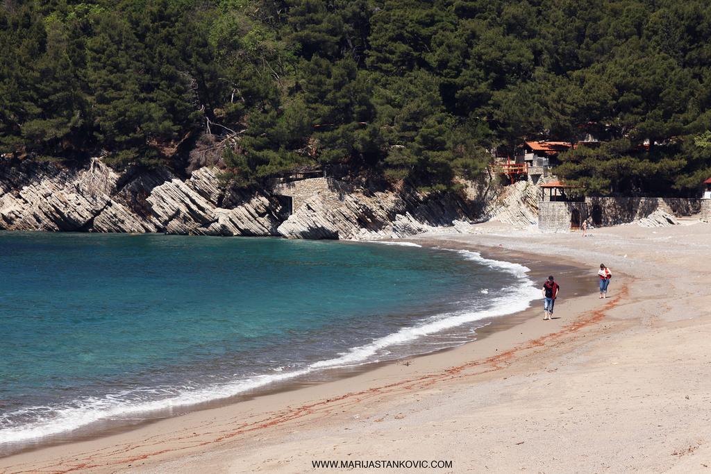 Studio Apartment Nika Andusa Petrovac Dış mekan fotoğraf